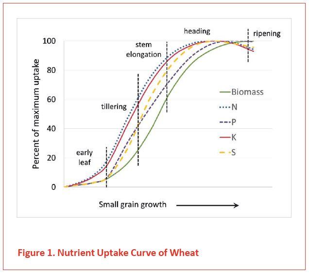 Figure 1. Nutrient Uptake Curve of Wheat