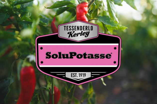SoluPotasse Product