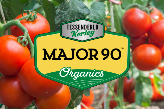 Major 90 Badge with Tomatoes