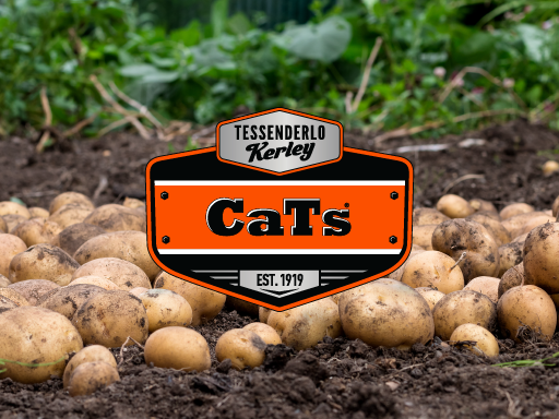 CaTs Badge Potatoes