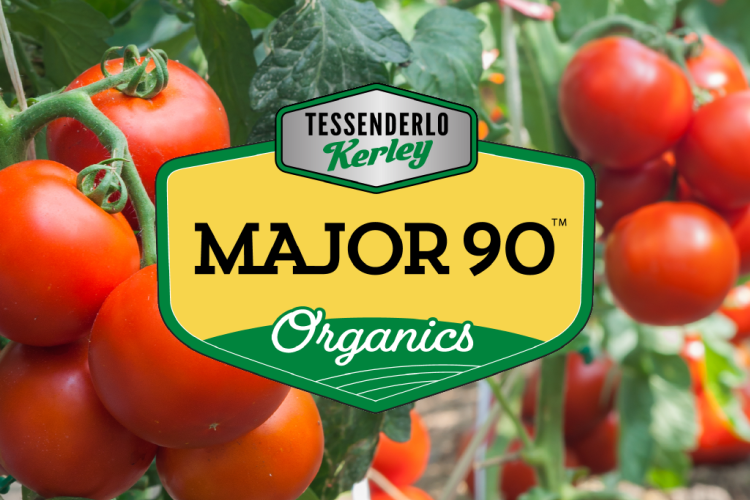 Major 90 Badge with Tomatoes